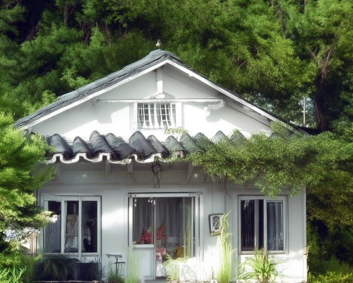 好，我现在需要帮用户写一篇关于肋骨鼻的文章。用户是上海鼻整形医生，所以文章需要专业且详细。首先，我得理解肋骨鼻是什么，它和传统鼻整形有什么不同，肋骨鼻整形，自然与稳定的鼻部美学新选择