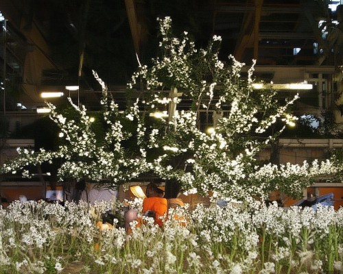 好，我现在需要帮用户写一篇关于鼻综合的文章。用户是上海鼻整形医生，所以文章需要专业且详细。首先，我得理解鼻综合是什么，它应该包括鼻部的多个方面，比如骨鼻、软骨鼻、假体鼻等，上海鼻整形医生推荐，鼻综合手术全解析