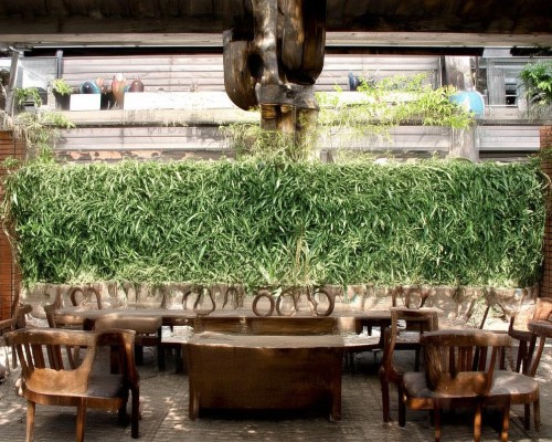 好，我现在需要帮用户写一篇关于肋骨鼻的文章。用户是上海鼻整形医生，所以文章需要专业且详细。首先，我得理解肋骨鼻是什么，它和传统鼻整形有什么不同