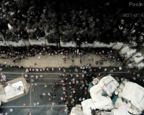 好，我现在需要帮用户写一篇关于鼻整形的文章。用户是上海的鼻整形医生，所以文章需要专业且详细。首先，我得确定文章的结构，可能包括鼻整形的概述、手术方法、恢复期、注意事项以及选择医生的重要性，上海鼻整形医生专业指导，鼻部提升手术全解析