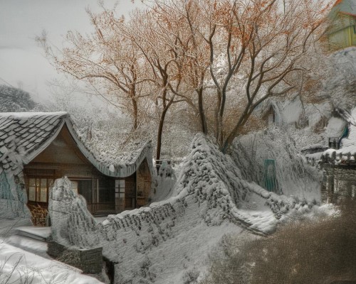 上海鼻整形医生推荐，鼻修复手术全解析，上海鼻整形医生推荐，鼻修复手术全解析