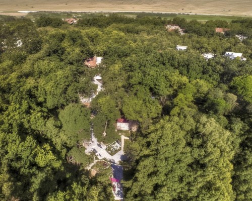 好，我现在需要帮用户写一篇关于鼻综合的文章。用户是上海鼻整形医生，所以文章需要专业且详细。首先，我得理解鼻综合是什么，它应该包括鼻部的多个方面，比如鼻梁、鼻尖、鼻孔等，精细鼻部整形，全面解析鼻综合手术