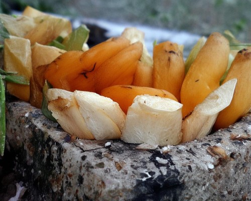 好，我现在需要帮用户写一篇关于肋骨鼻的文章。用户是上海鼻整形医生，所以文章需要专业且详细。首先，我得理解肋骨鼻是什么，它和传统鼻整形有什么不同，肋骨鼻整形，一种自然与稳定的鼻部重构方式