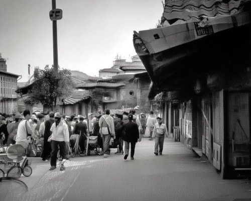 好，我现在需要帮用户写一篇关于肋骨鼻的文章。用户是上海鼻整形医生，所以文章需要专业且详细。首先，我得理解用户的需求，他们可能需要一篇结构清晰、内容详实的文章，用于介绍肋骨鼻手术